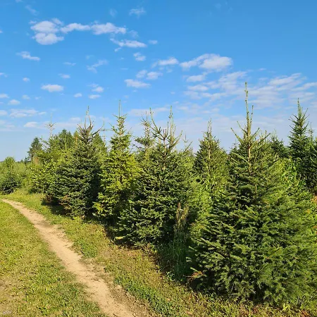 Nad Jeziorem * Sierakowice