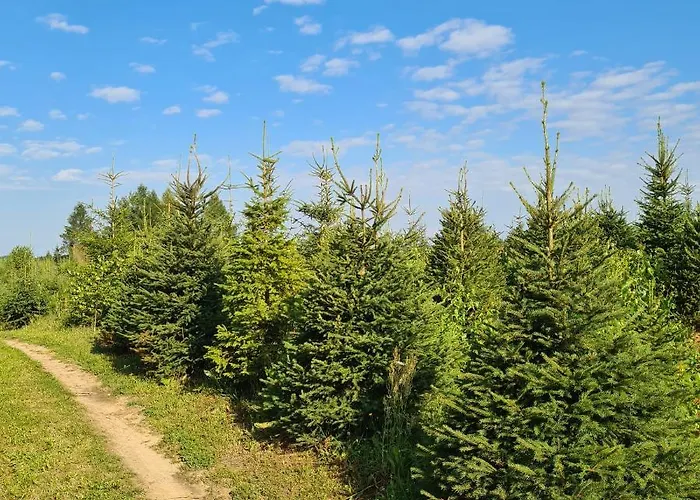 Nad Jeziorem * Sierakowice (Pomerania)
