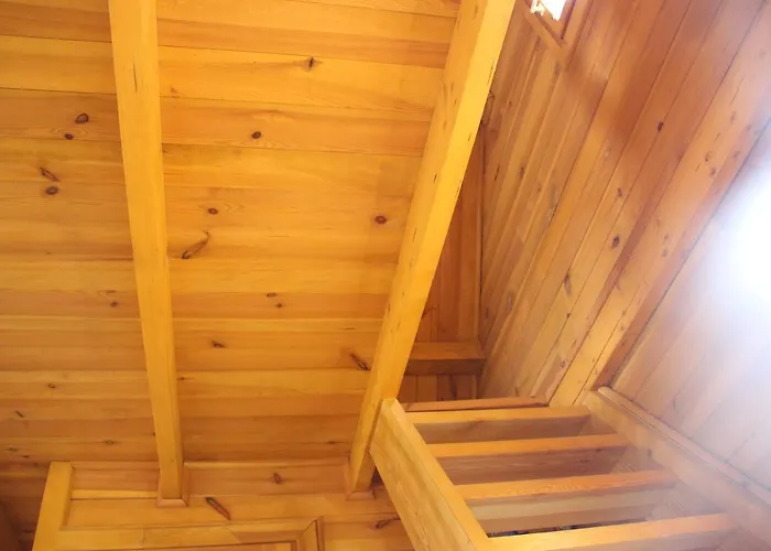 Nad Jeziorem Orman Evi *