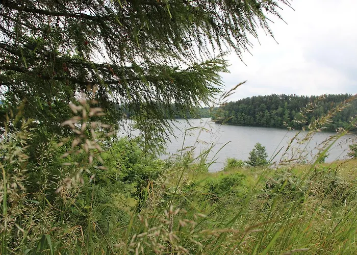 Orman Evi Nad Jeziorem Sierakowice (Pomerania)